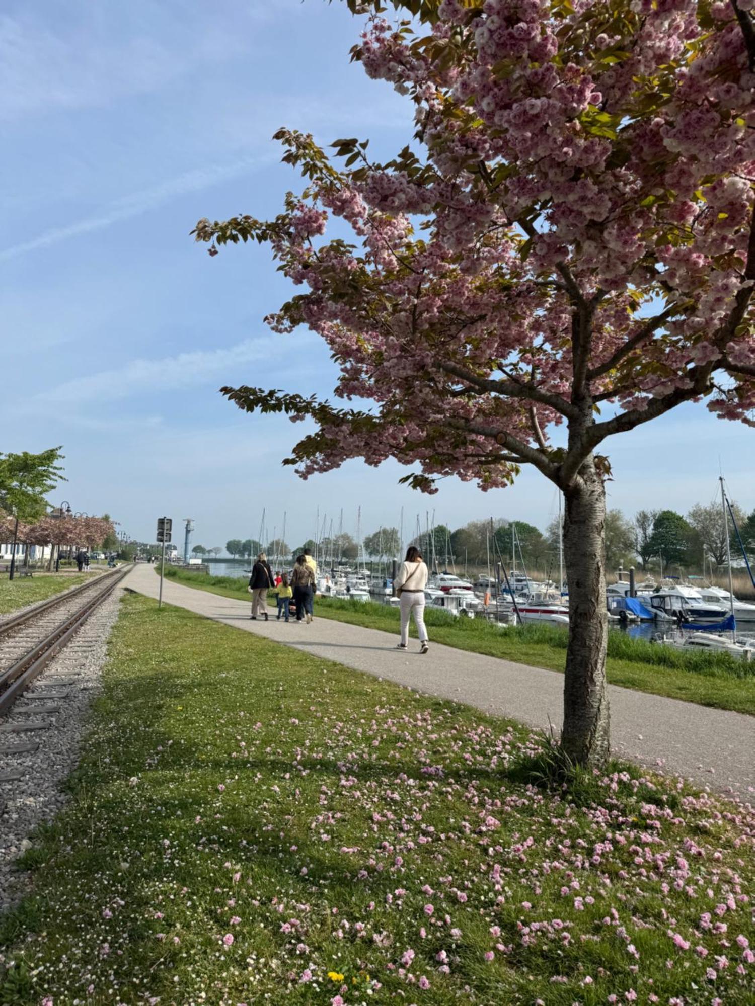 Gite Du Flot - Baie De Somme Boismont  Exterior foto